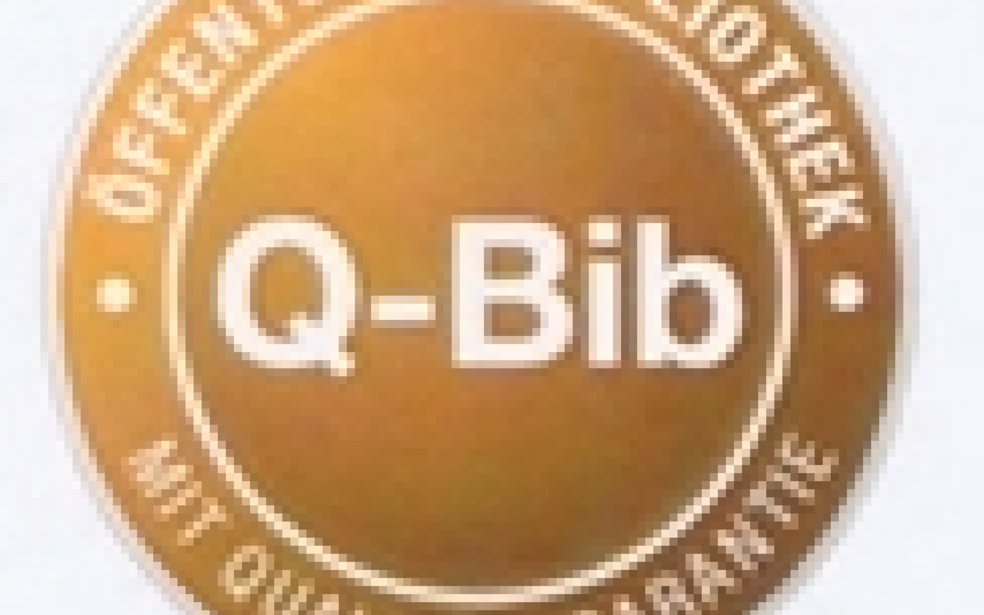 Qualitätssiegel für Öff. Bibliotheken